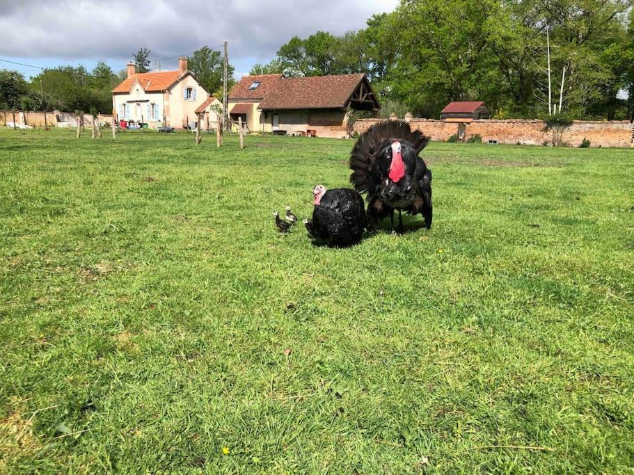 Maison Au Milieu Des Bois Et Des Animaux Jouy-le-Potier Dış mekan fotoğraf