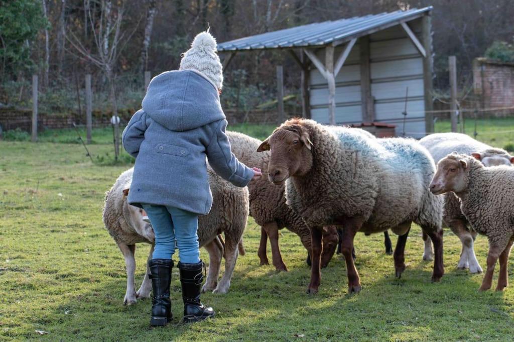 Maison Au Milieu Des Bois Et Des Animaux Jouy-le-Potier Dış mekan fotoğraf