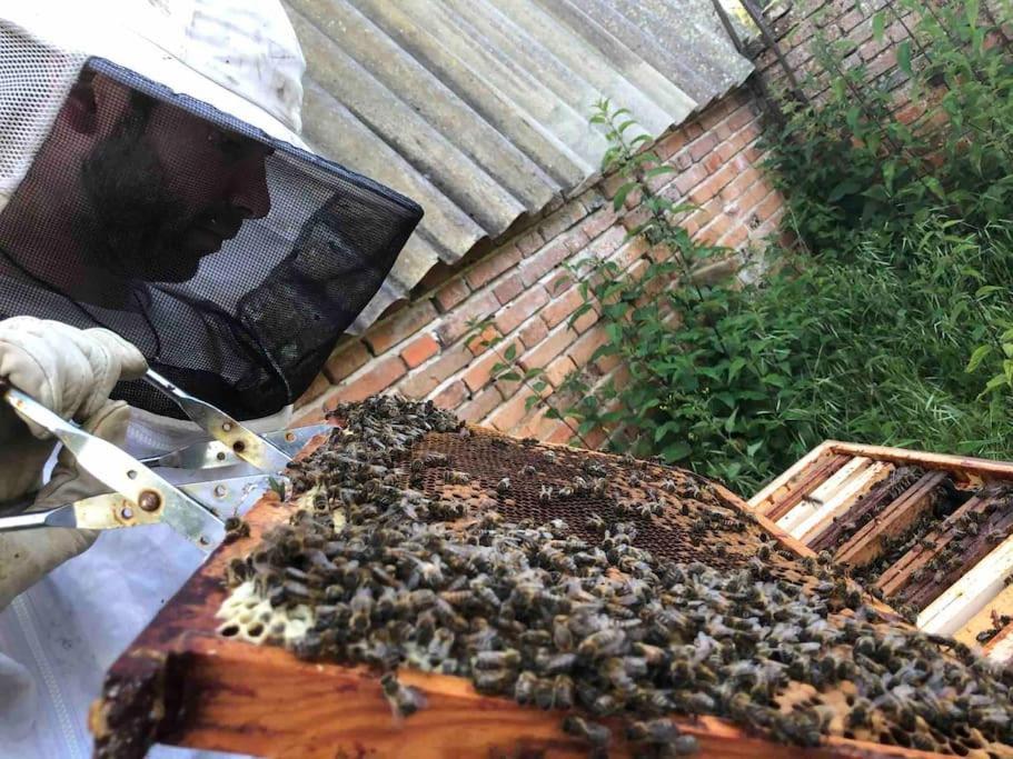 Maison Au Milieu Des Bois Et Des Animaux Jouy-le-Potier Dış mekan fotoğraf